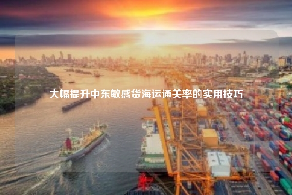 大幅提升中东敏感货海运通关率的实用技巧